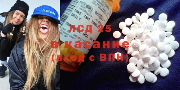 PSILOCYBIN Зеленодольск