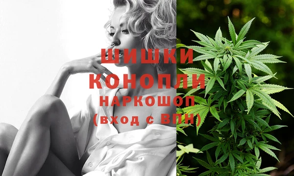 PSILOCYBIN Зеленодольск