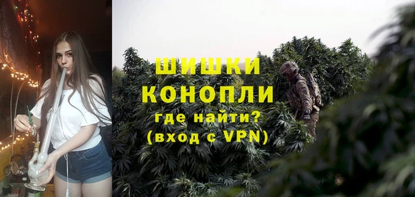 PSILOCYBIN Зеленодольск