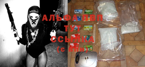 PSILOCYBIN Зеленодольск