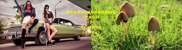 ALPHA-PVP Зерноград